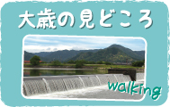 大歳の見どころ