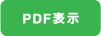 PDF表示