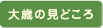 大歳の見どころ