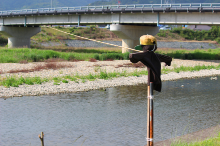 何が釣れるかな