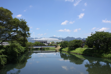 水面“夏”