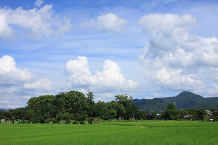 夏の雲