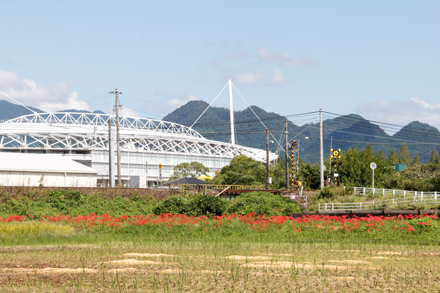 稲刈りのあと〜維新公園競技場と彼岸花