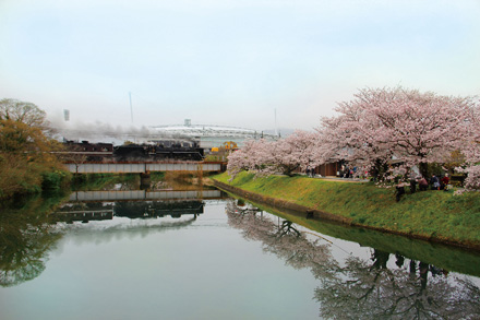 千代丸橋 桜 やまぐち号