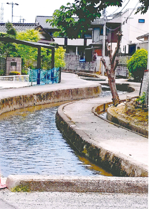 湾曲の大きな水路