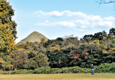 秋の矢原河川公園+姫山