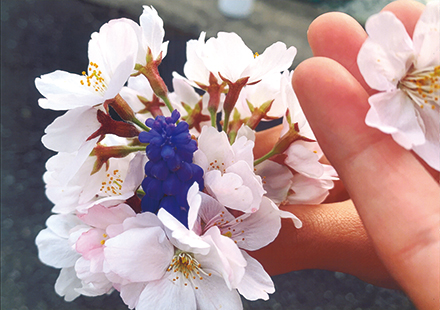 「桜でおもてなし」