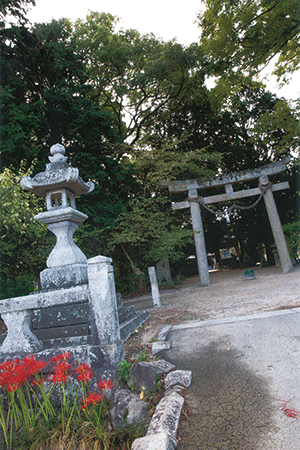 「時代は流れても」