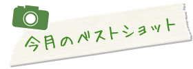 今月のベストショット