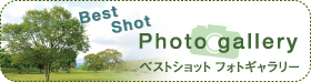 ベストショットフォトギャラリー