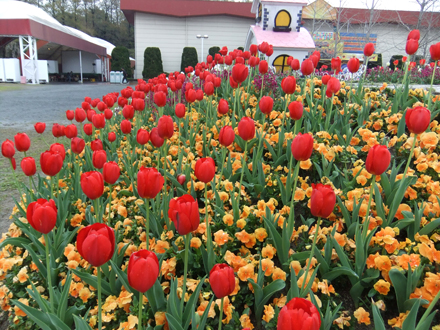 香椎花園(福岡市)